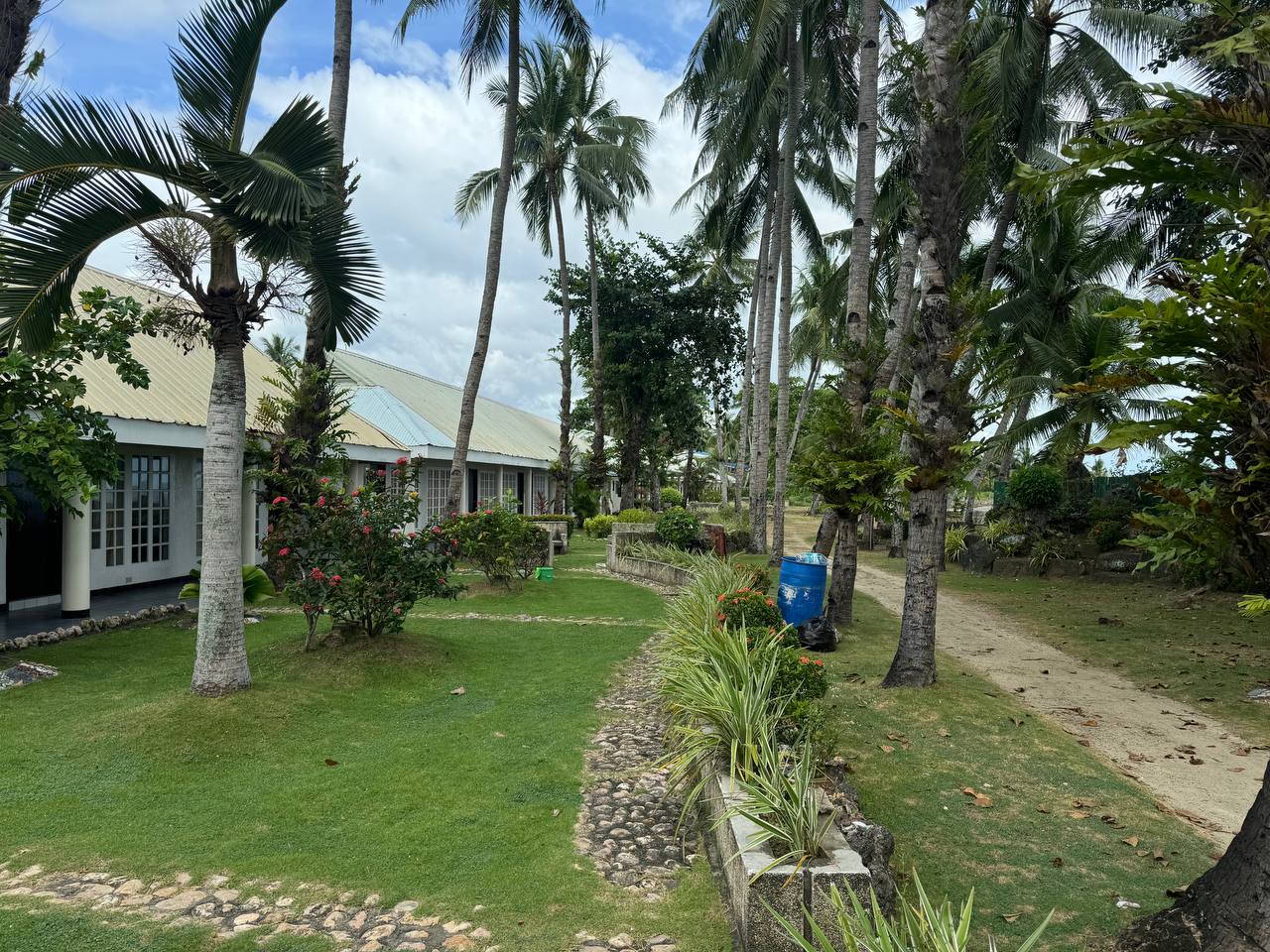 sample_image